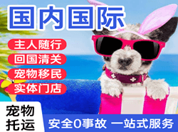 佳木斯东郊机场空运国际宠物托运 【国